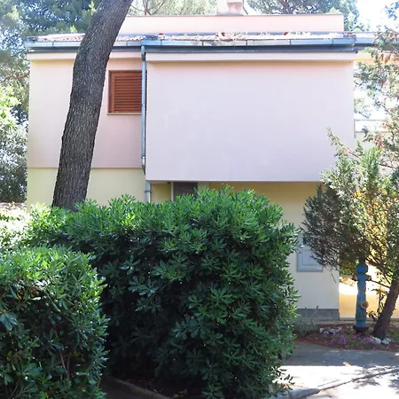 & Pine Apartman *