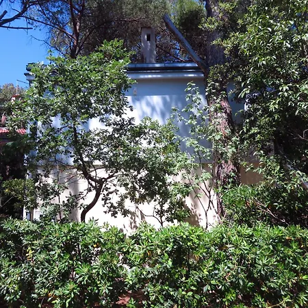 Apartman & Pine Biograd na Moru